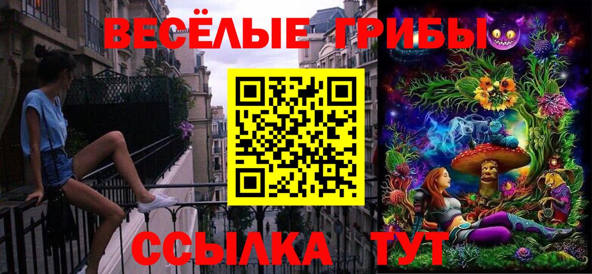 Миллерово  Галлюциногенные грибы Psilocybe  Псилоцибиновые грибы ЛСД  Вход с VPN 