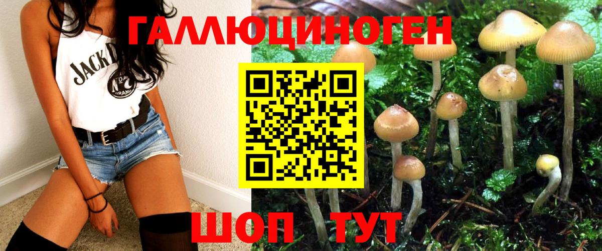 Галлюциногенные грибы Cubensis Миллерово